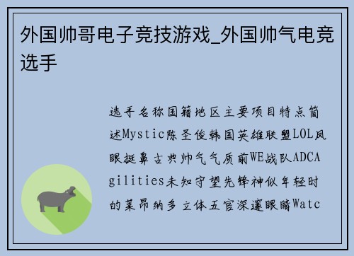 外国帅哥电子竞技游戏_外国帅气电竞选手